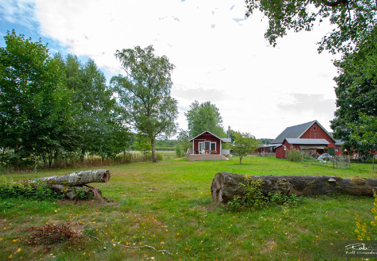 Stuga i Halmstad - Mysigt fritidshus nära Halmstad i Västsverige med hund