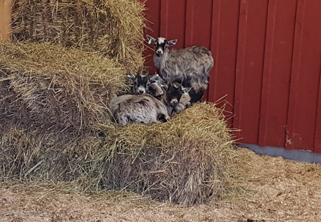 Stuga i Väckelsång - Drömstuga med sjöläge, motorbåt och pool