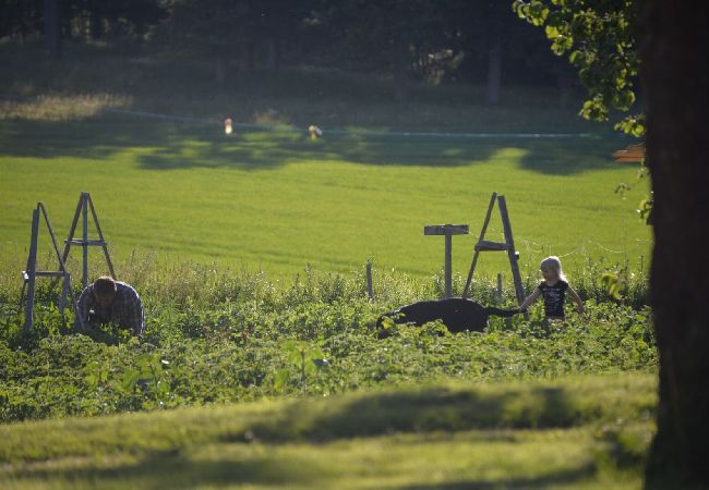 Lägenhet i Sköldinge - Högra lägenheten