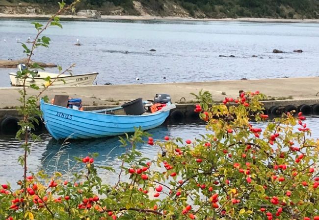 Stuga i Simrishamn - Havspärla Hönshuset Stuga i Simrishamn - Havspärla Hönshuset