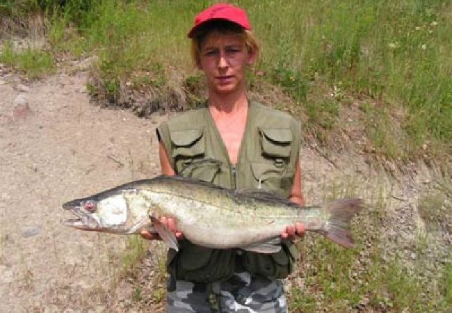 Stuga i Vikbolandet - Backstugan Stuga i Vikbolandet - Backstugan