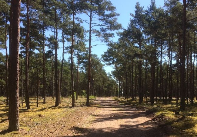 Stuga i Degeberga - Naturskönt boende på Österlen