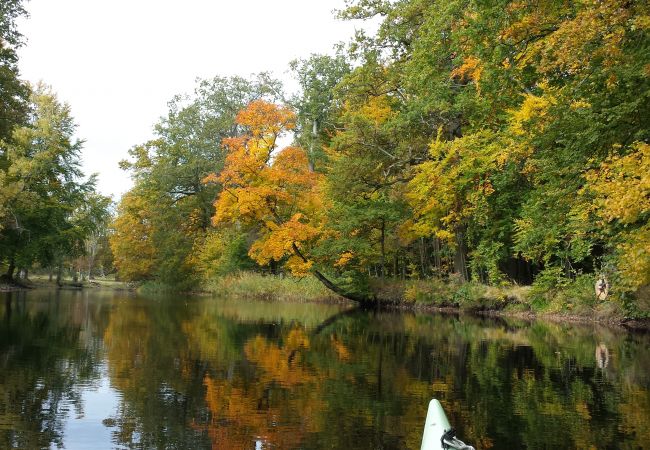 Stuga i Ålem - Stort, Lugnt, GENUINT med många rum nära havet. Stuga i Ålem - Stort, Lugnt, GENUINT med många rum nära havet.