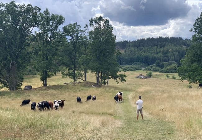 Stuga i Valdemarsvik - Modern stuga med Wifi på landet Stuga i Valdemarsvik - Modern stuga med Wifi på landet