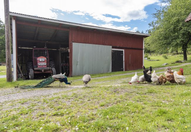 Stuga i Valdemarsvik - Modern stuga med Wifi på landet Stuga i Valdemarsvik - Modern stuga med Wifi på landet