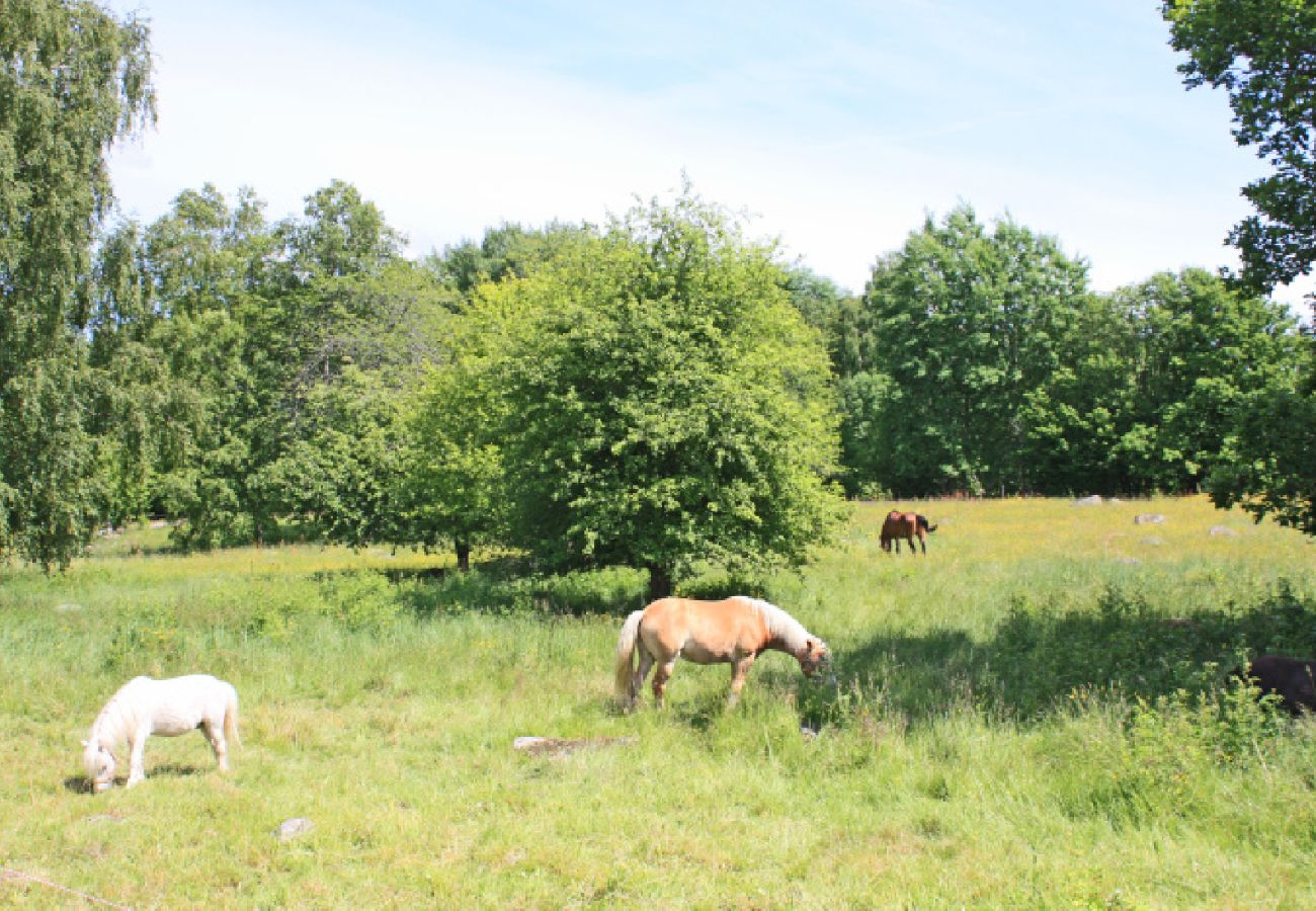 Stuga i Ryd - Bo på lantgård med hästar och ponnys