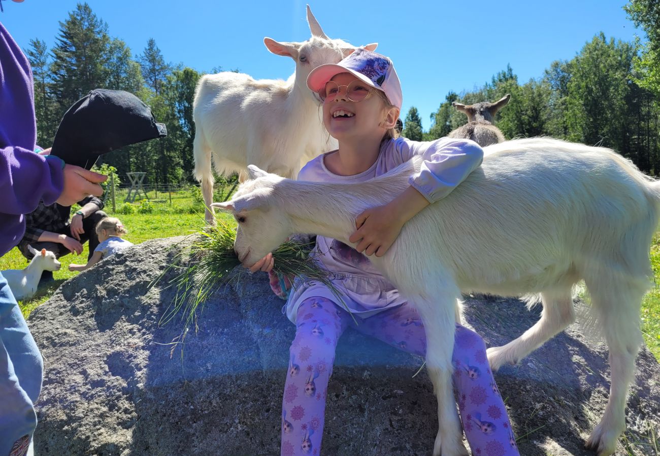 Stuga i Gällö - Underbart fritidshus precis vid sjön med bastu, WiFi och vildmarkspool (kan hyras)