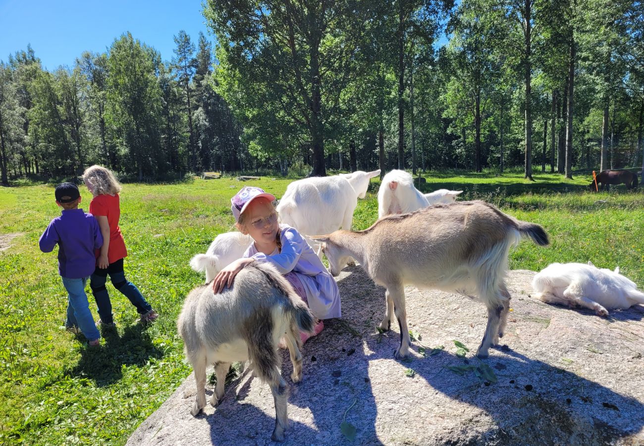 Stuga i Gällö - Underbart fritidshus precis vid sjön med bastu, WiFi och vildmarkspool (kan hyras)