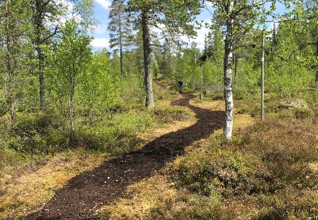 Stuga i Sysslebäck - Toppläge i fjällregionen i norra Värmland Stuga i Sysslebäck - Toppläge i fjällregionen i norra Värmland