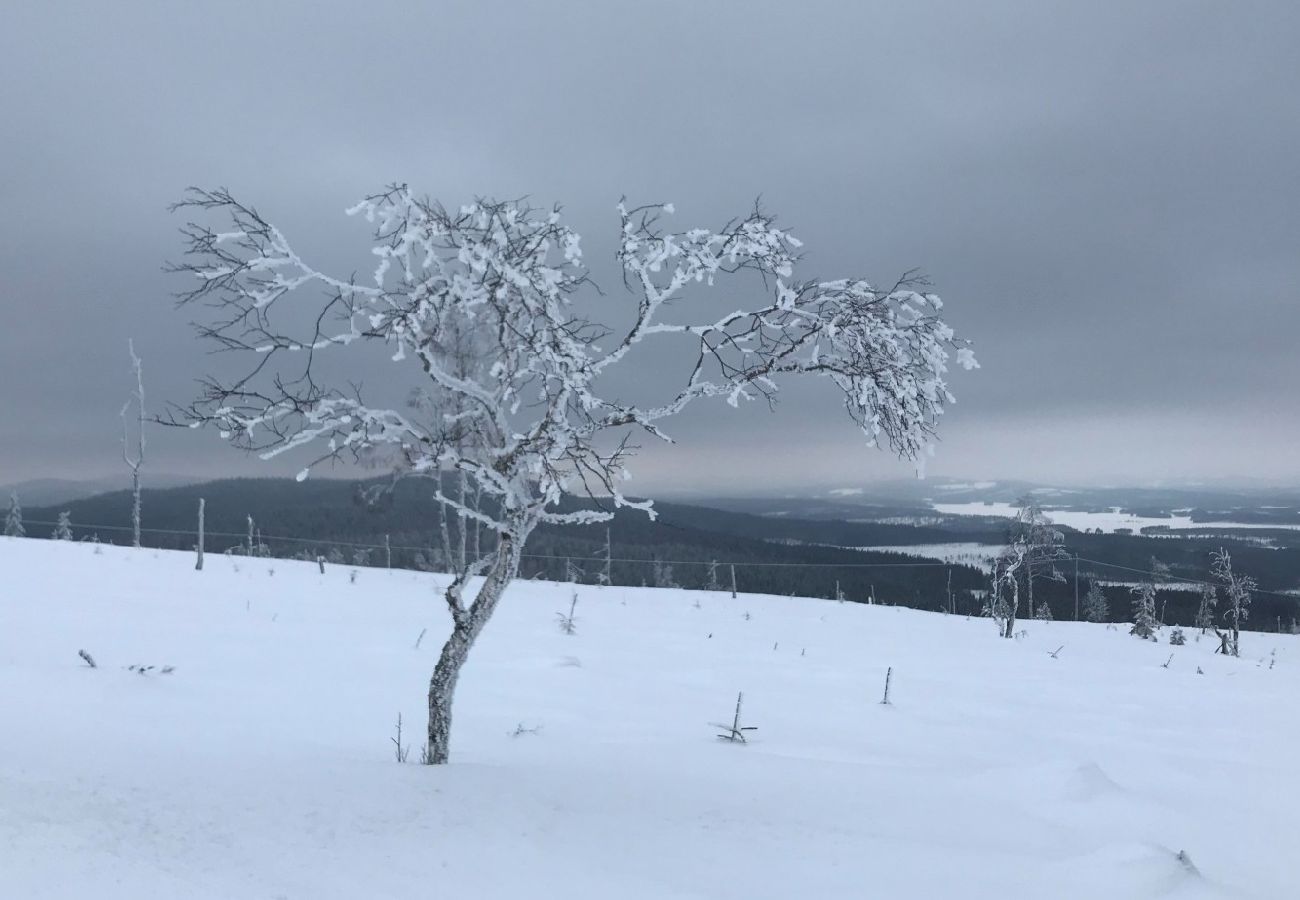 Stuga i Sysslebäck - Toppläge i fjällregionen i norra Värmland