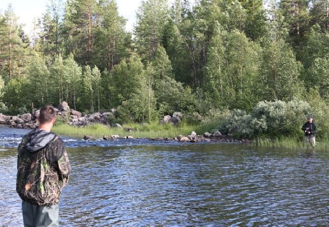 Stuga i Dorotea - Östra Ormsjö Stuga i Dorotea - Östra Ormsjö