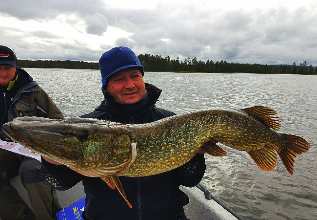 Stuga i Dorotea - Östra Ormsjö Stuga i Dorotea - Östra Ormsjö