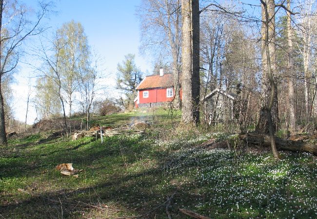 Stuga i Sköldinge - Flendiverna Stuga i Sköldinge - Flendiverna