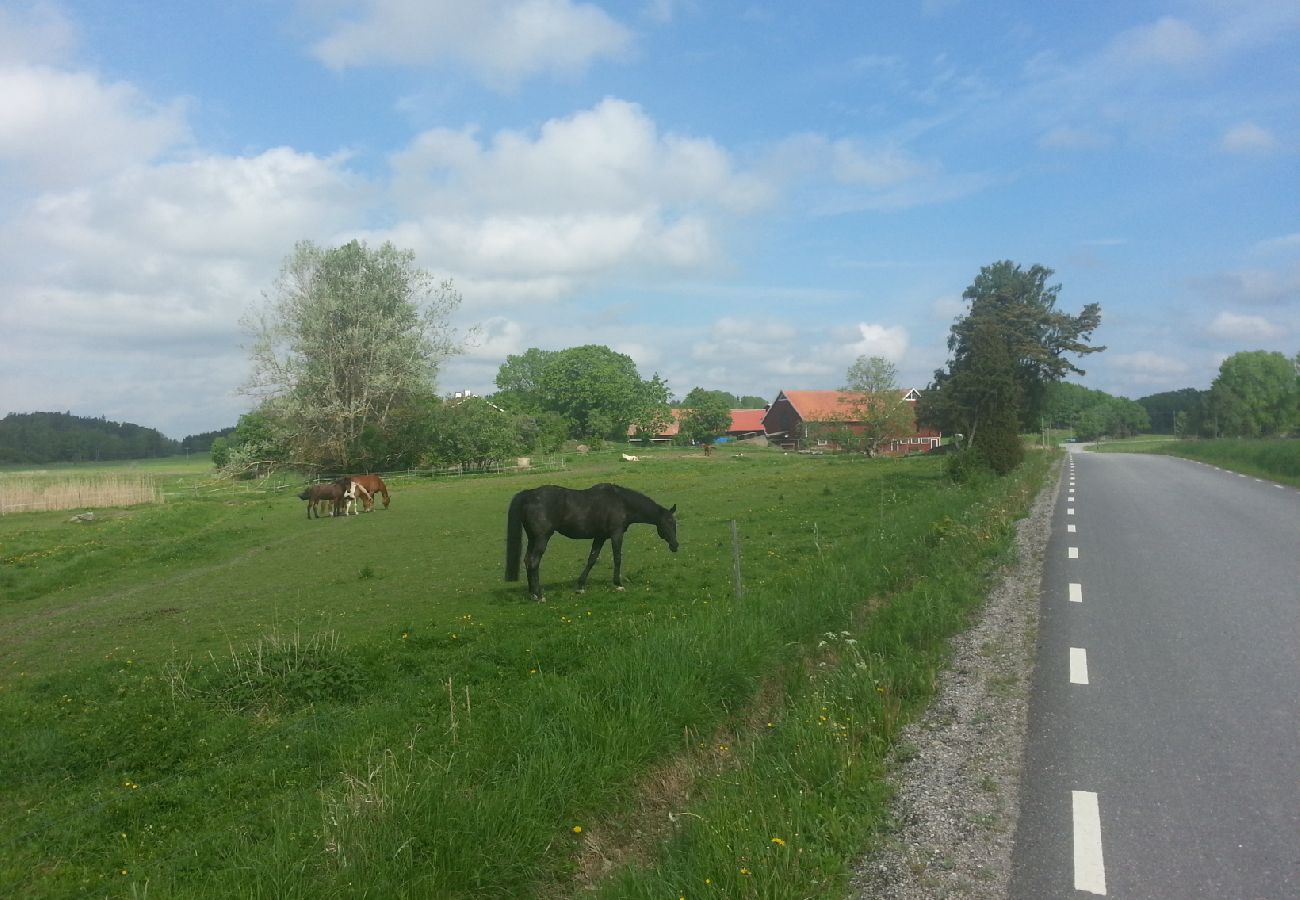 Stuga i Sköldinge - Flendiverna