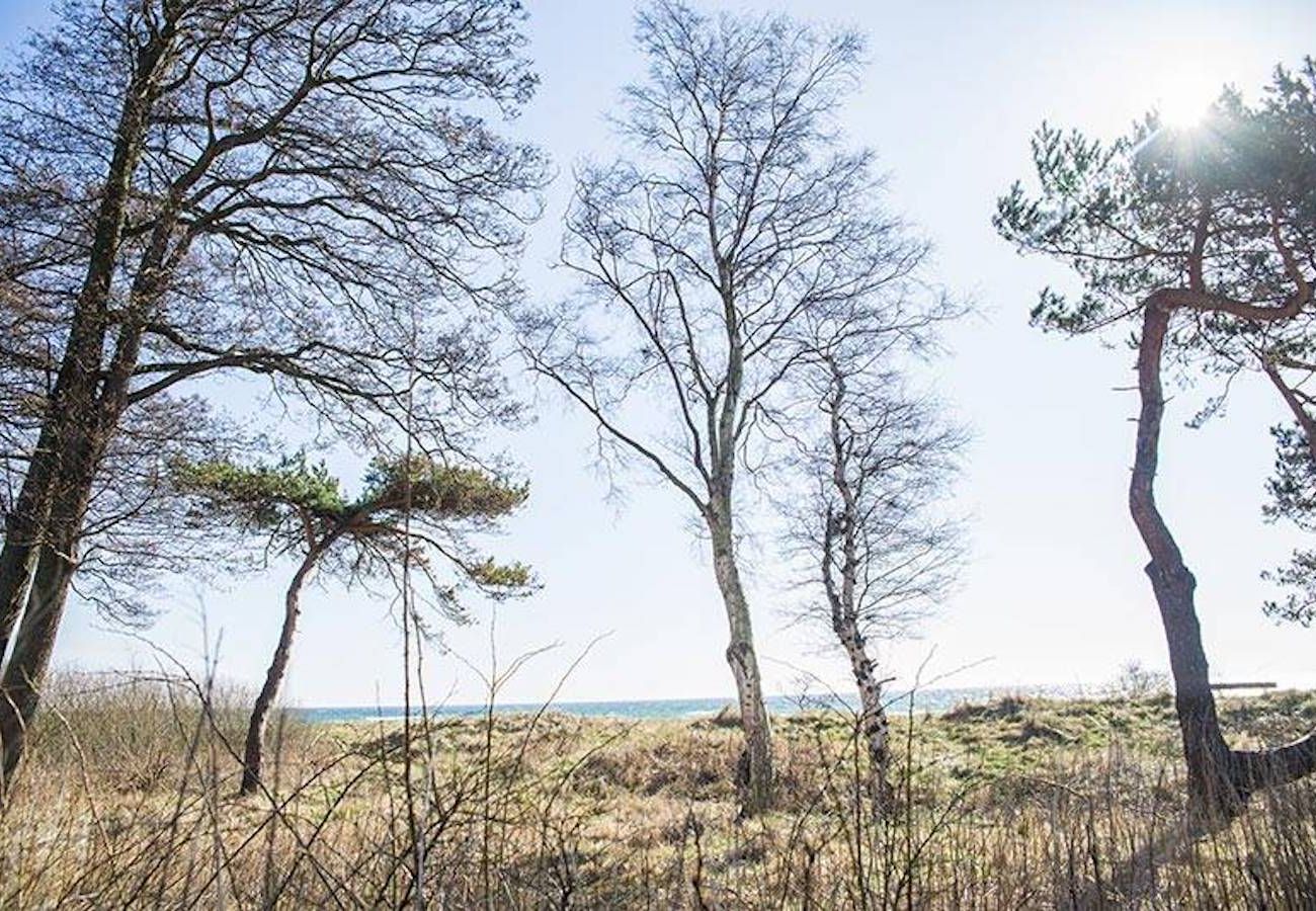 Stuga i Smygehamn - Smygehus semesteranläggning direkt vid Östersjön