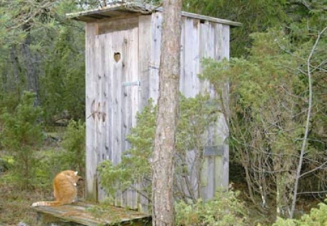 Stuga i Visby - Gotlandssemester omgiven av skog