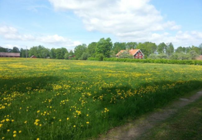 Stuga i Skruv - Herrgård mitt i Smålands Glasrike