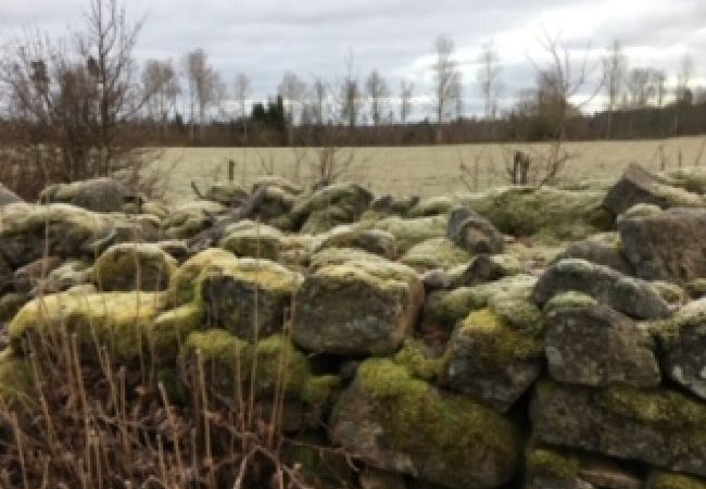 Stuga i Skruv - Herrgård mitt i Smålands Glasrike