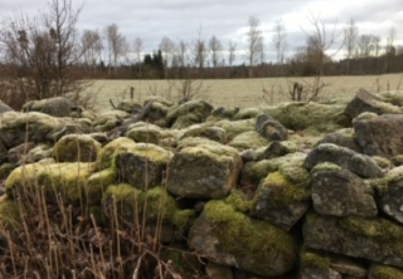 Stuga i Skruv - Herrgård mitt i Smålands Glasrike