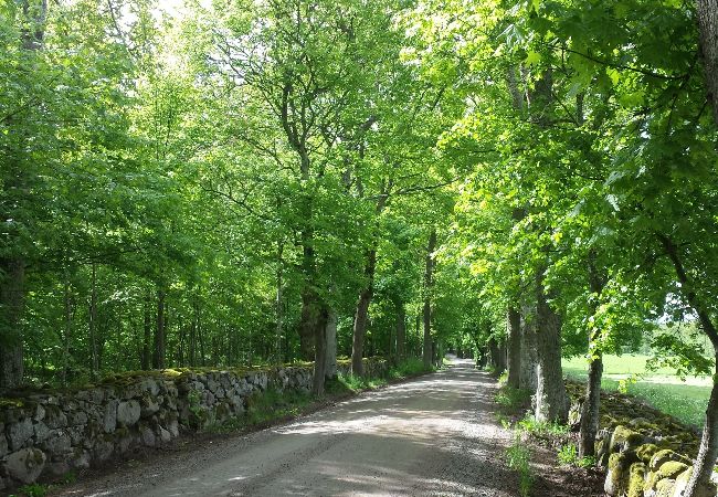 Stuga i Ålem - Stort, Lugnt, Havsnära,Underbar natur vid Pataholm Stuga i Ålem - Stort, Lugnt, Havsnära,Underbar natur vid Pataholm