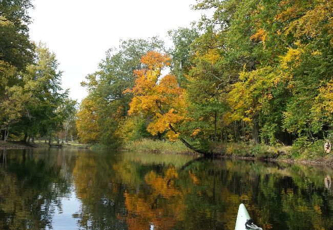 Stuga i Ålem - Stort, Lugnt, Havsnära,Underbar natur vid Pataholm Stuga i Ålem - Stort, Lugnt, Havsnära,Underbar natur vid Pataholm