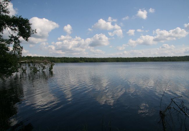 Stuga i Forsheda - Ensam stuga med i  Småland direkt på sjön