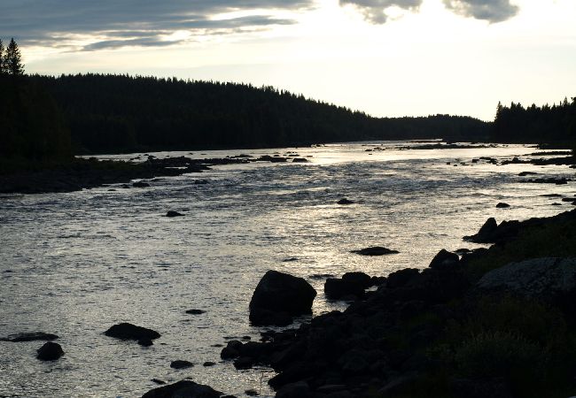 Stuga i Gargnäs - Stuga i Gargnäs omgiven av vatten