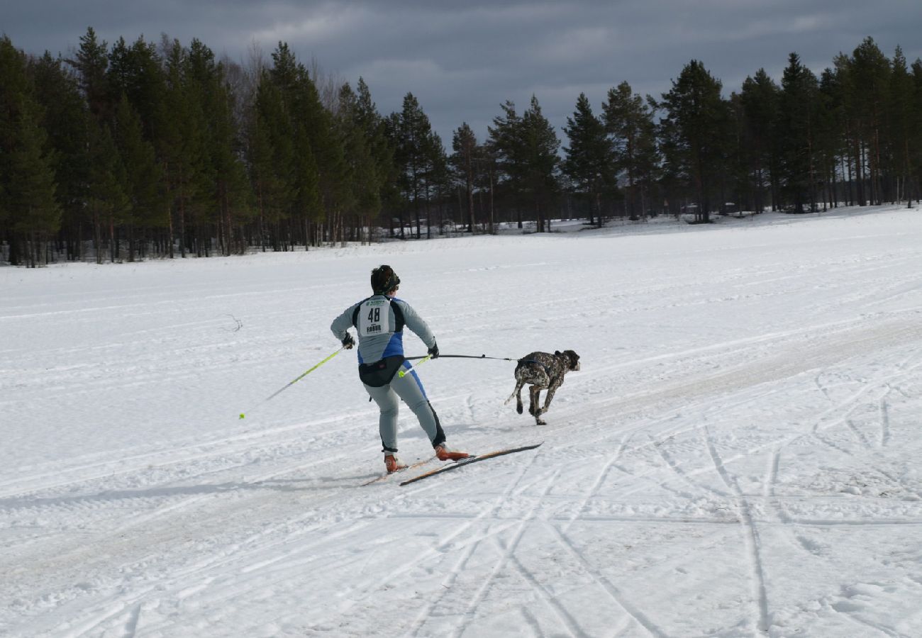 Stuga i Gargnäs - Stuga i Gargnäs omgiven av vatten