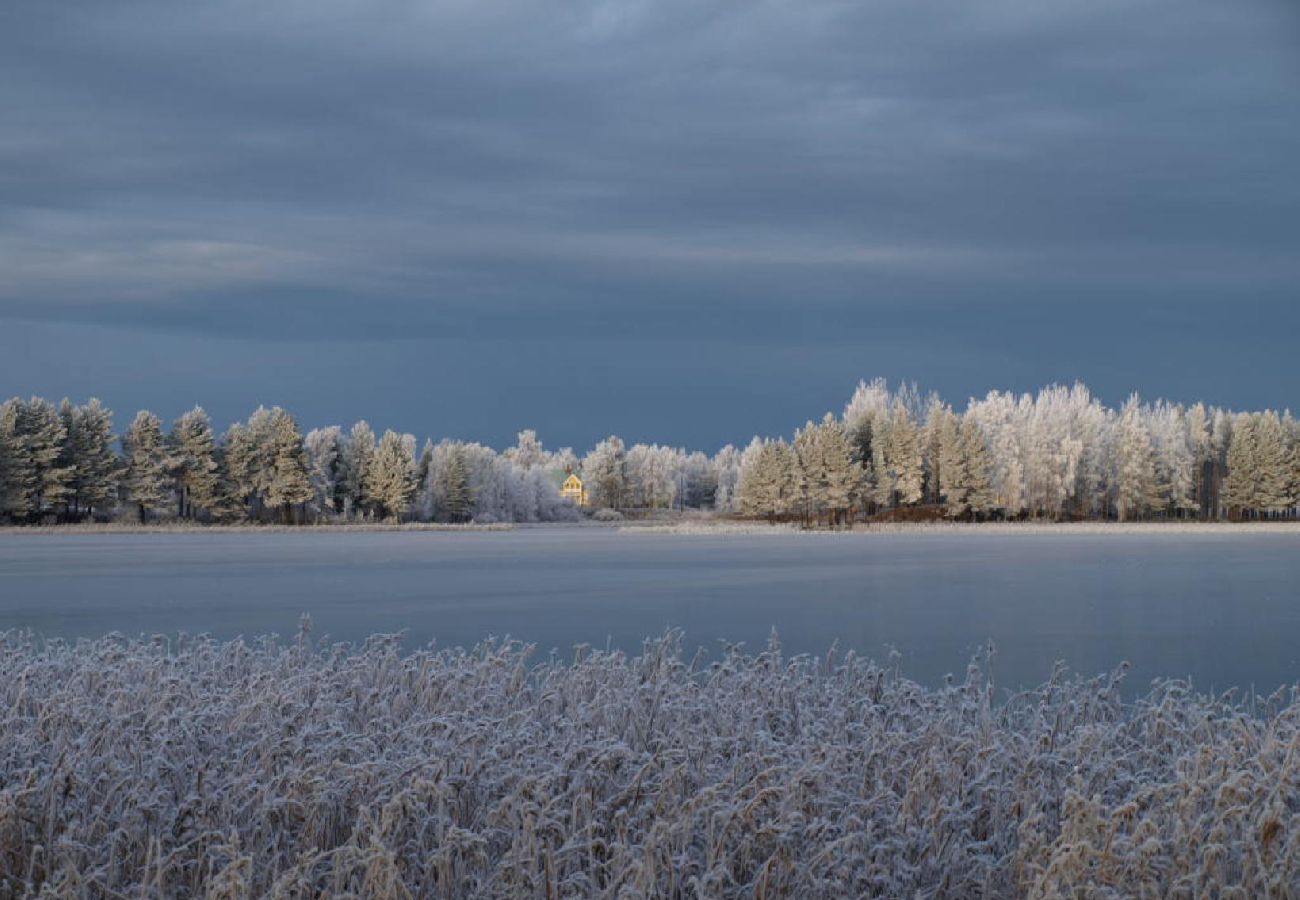 Stuga i Gargnäs - Stuga i Gargnäs omgiven av vatten