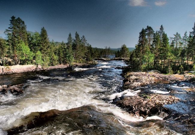 Stuga i Bräcke - Bekvämt och modernt timmerhus vid sjön