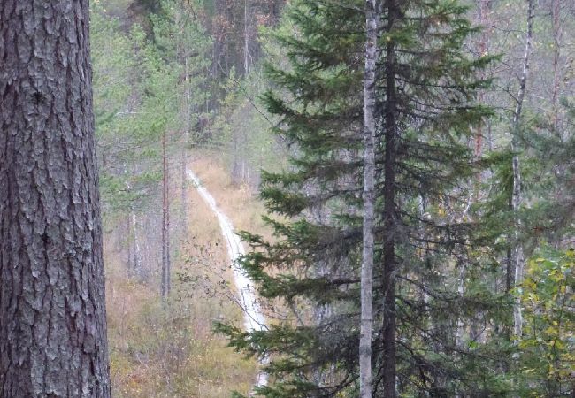 Stuga i Bräcke - Bekvämt och modernt timmerhus vid sjön Stuga i Bräcke - Bekvämt och modernt timmerhus vid sjön