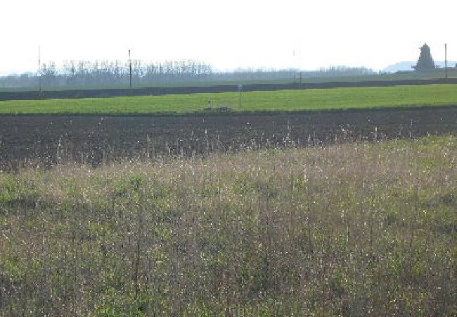 Stuga i Landskrona - Rosenhill Stuga i Landskrona - Rosenhill