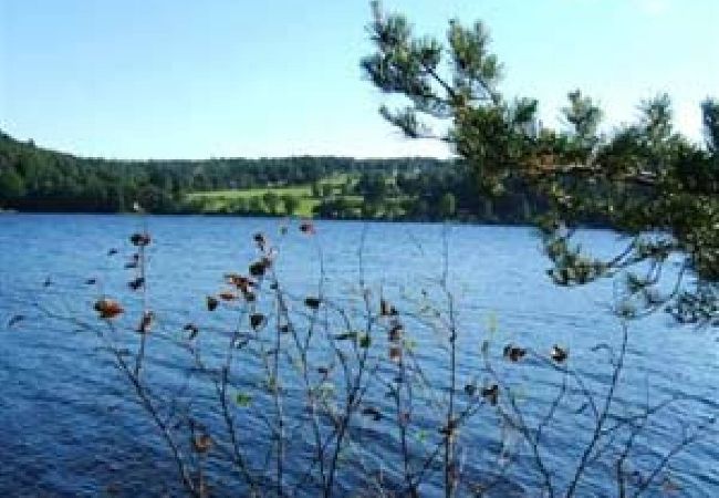 Stuga i Alingsås - Bäcks Strand