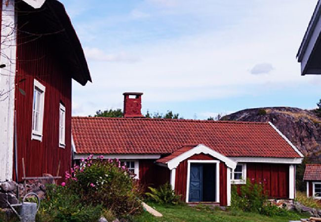 Stuga i Sankt Anna - Ett paradis för naturälskare, badare, fiskare och kanotister Stuga i Sankt Anna - Ett paradis för naturälskare, badare, fiskare och kanotister