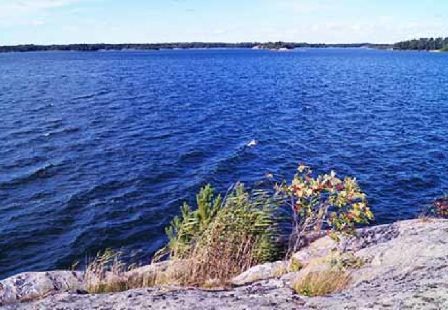 Stuga i Sankt Anna - Ett paradis för naturälskare, badare, fiskare och kanotister