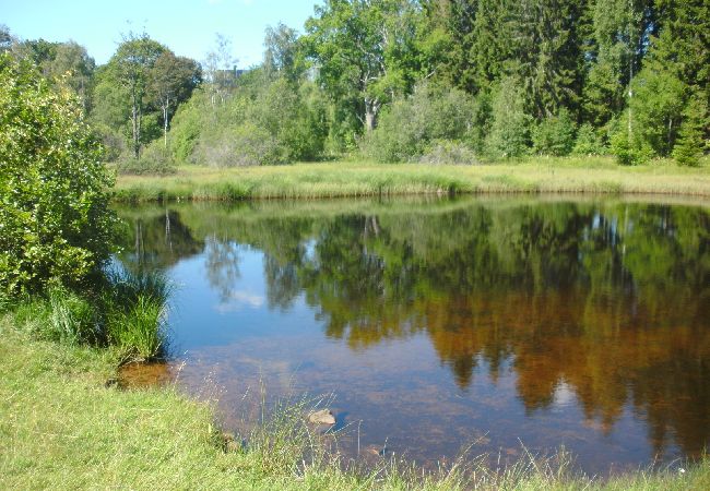 Stuga i Alstermo - Fint renoverat fritidshus i Småland