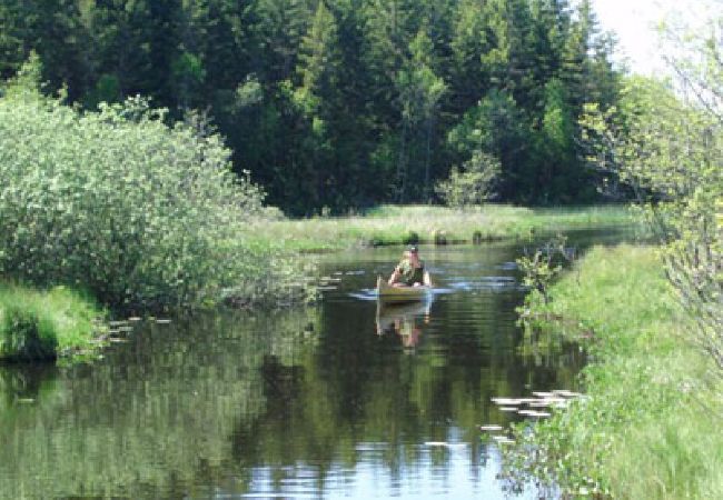 Stuga i Öxabäck - Modern sportfiskarstuga i södra Sverige