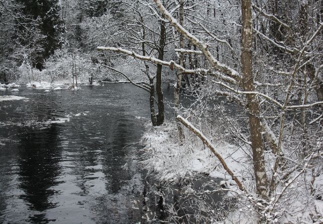 Stuga i Öxabäck - Vackert sportfiskar stuga i södra Sverige Stuga i Öxabäck - Vackert sportfiskar stuga i södra Sverige