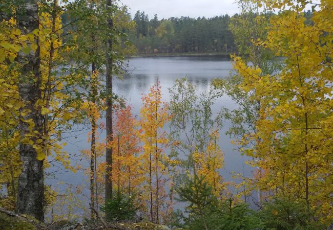 Stuga i Nordmarkshyttan - Villa Stjälpet