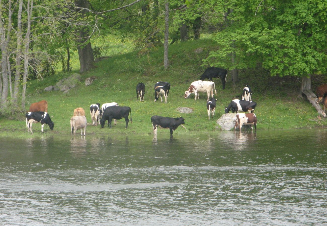 Stuga i Norsholm - Semester vid sjön Roxen, Motala Ström och Göta kanal