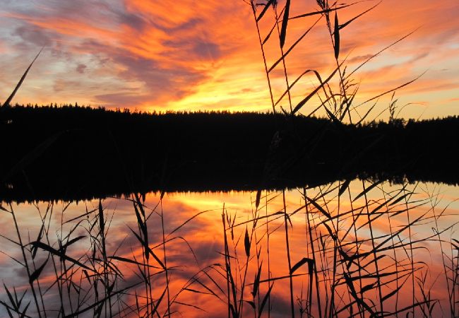 Stuga i Mora - Drömstuga vid strand med bastu Stuga i Mora - Drömstuga vid strand med bastu