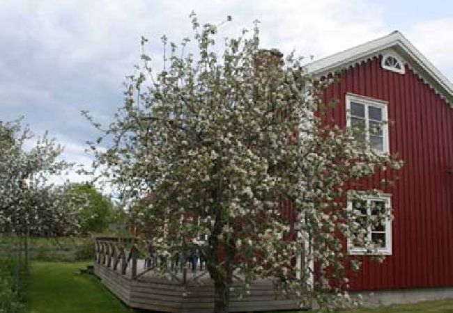 Stuga i Lenhovda - Fritidshus med båt mitt i Glasriket