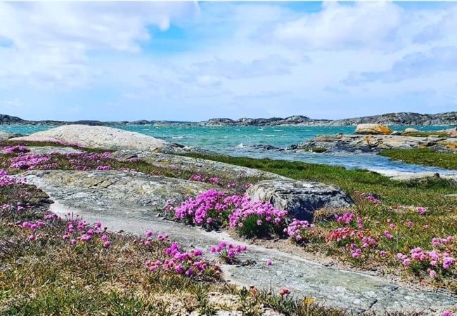 Stuga i Öckerö - Semester på västkusten på Öckerö