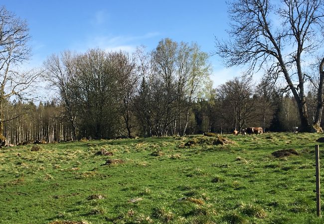 Lägenhet i Älmhult - Adelé's countryhouse Lägenhet i Älmhult - Adelé's countryhouse