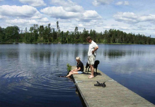 Stuga i Älmeboda - Stuga mitt i smålands skogar Stuga i Älmeboda - Stuga mitt i smålands skogar