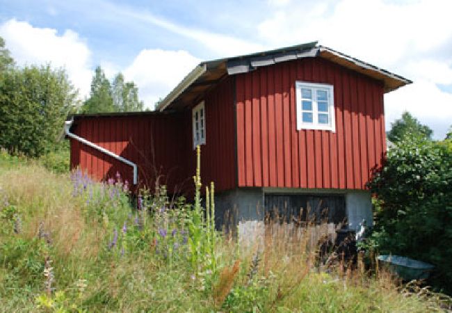 Stuga i Nordmarkshyttan - Semester i Värmlands härliga natur 