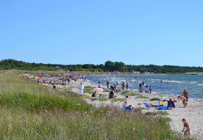 Stuga i Gotlands Tofta - Semester i Tofta nära stranden Stuga i Gotlands Tofta - Semester i Tofta nära stranden