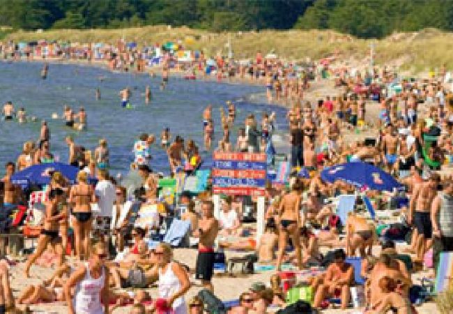 Stuga i Gotlands Tofta - Semester i Tofta nära stranden Stuga i Gotlands Tofta - Semester i Tofta nära stranden