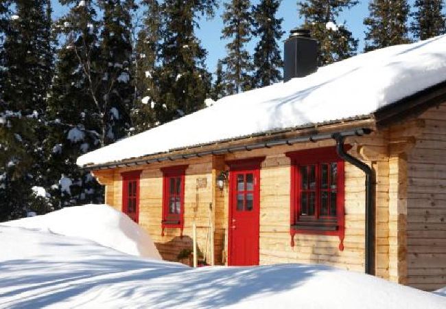 Stuga i Svenstavik - Timmerstuga av hög standard i Jämtlands fjäll