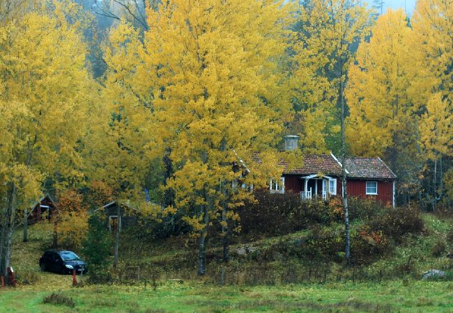 Stuga i Kisa - Timmerstuga i södra Sverige i avskilt läge